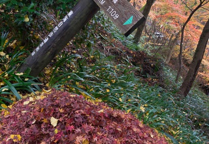 201411301033-DSC01571N6.jpg