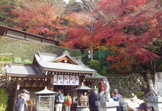 20141130103825-SH-06F.jpg