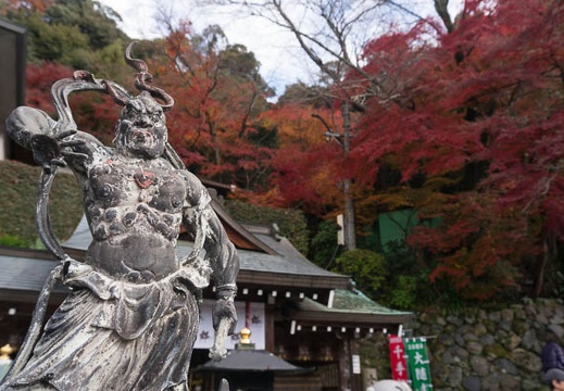 201411301040-DSC01590N6.jpg