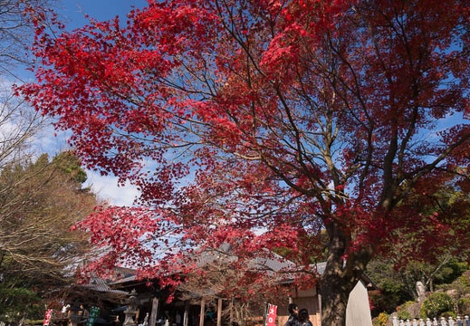 201411301104-DSC01666N6.jpg