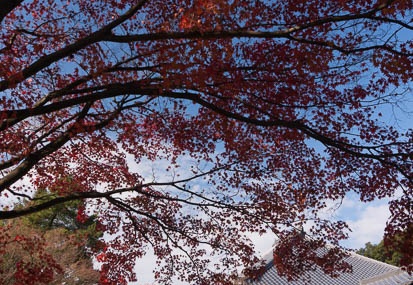 201411301105-DSC01668N6.jpg