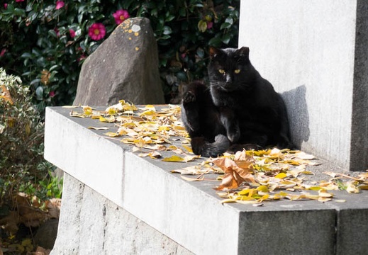 201412021255-DSC07670R10.jpg