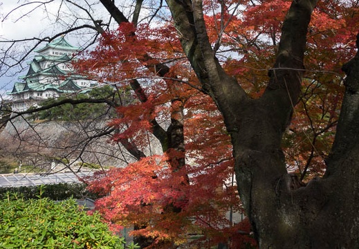 201412021315-DSC07709R10.jpg