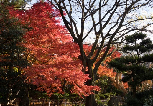 201412021508-DSC08037R10.jpg