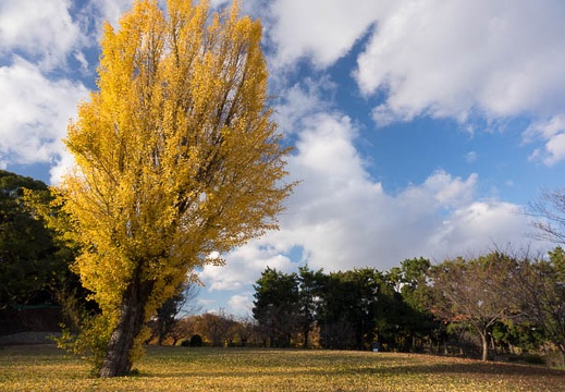 201412021522-DSC08089R10.jpg