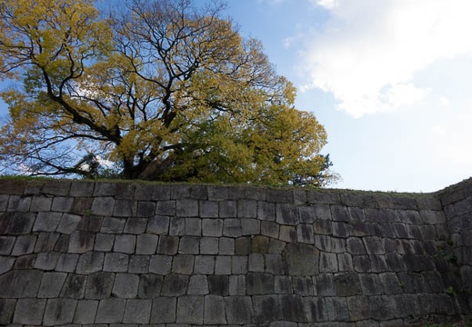 201412021538-DSC08131R10.jpg