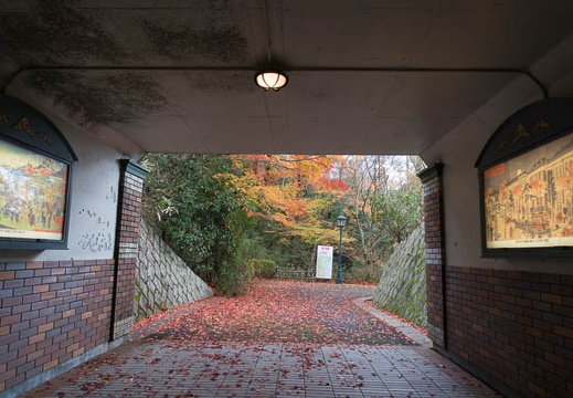 201412051030-DSC01977N6.jpg