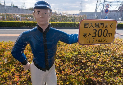 201412131048-DSC02571N6.jpg