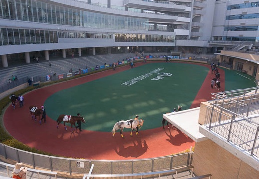 201412131102-DSC02592N6.jpg