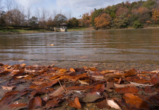 201412171136-DSC02767N6.jpg