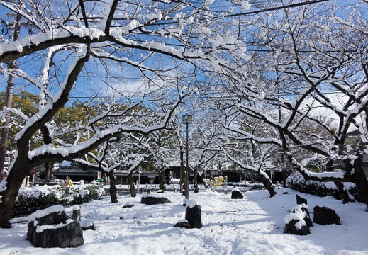 201412181058-DSC08874R10.jpg