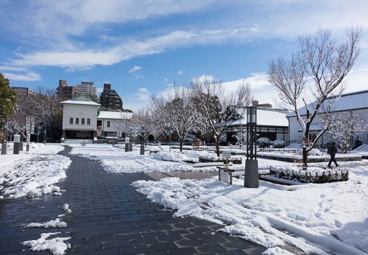 201412181100-DSC08881R10.jpg