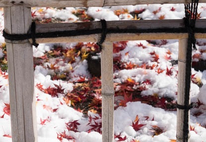 201412181124-DSC08973R10.jpg