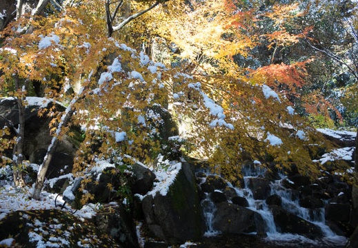 201412181129-DSC08994R10.jpg