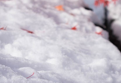 201412181207-DSC09144R10.jpg
