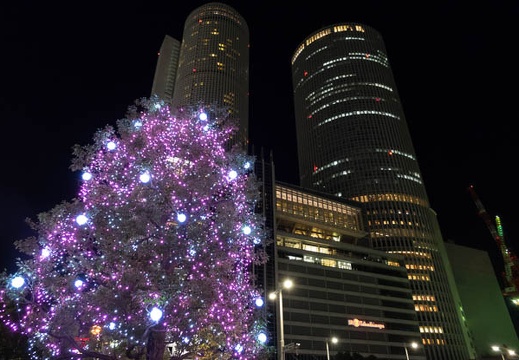 201412231955-DSC09550R10.jpg