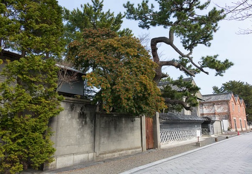 201412281223-DSC09820R10.jpg