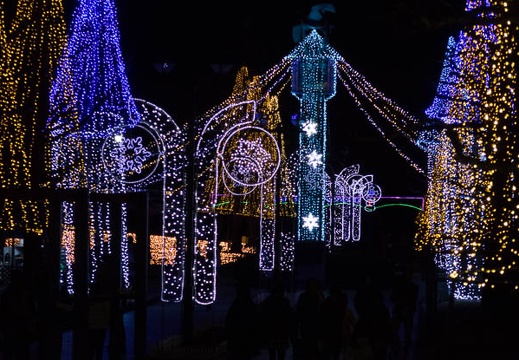201412291739-DSC00364R10.jpg