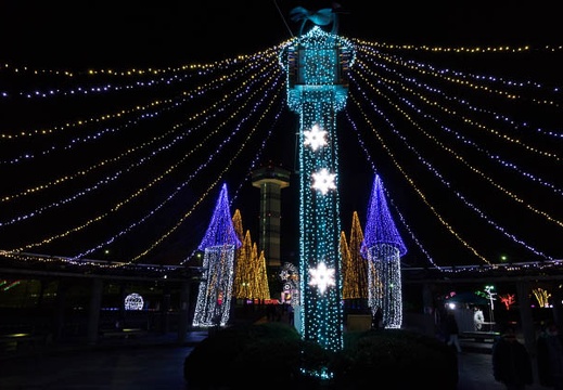 201412291821-DSC00510R10.jpg