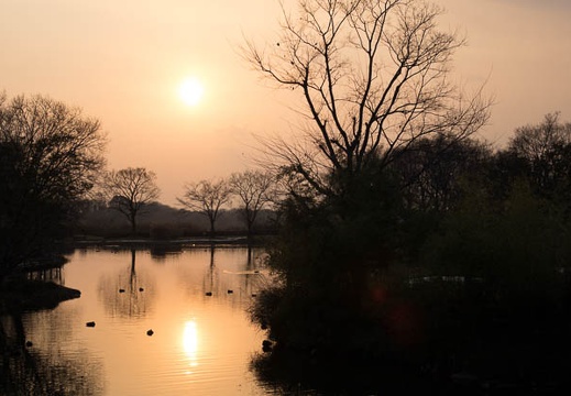 201412301608-DSC00853R10.jpg