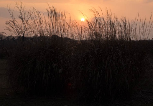 201412301622-DSC00875R10.jpg