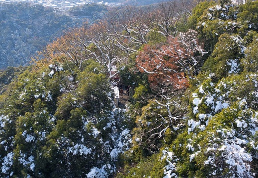 201501031203-DSC01586R10.jpg