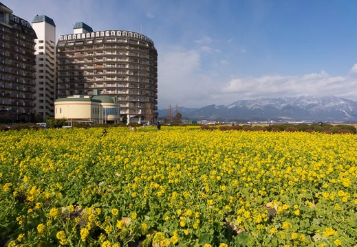 201501111034-DSC02670R10.jpg