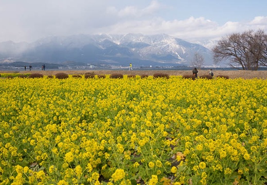 201501111108-DSC02780R10.jpg