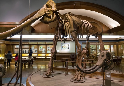 201501111424-DSC02961R10.jpg