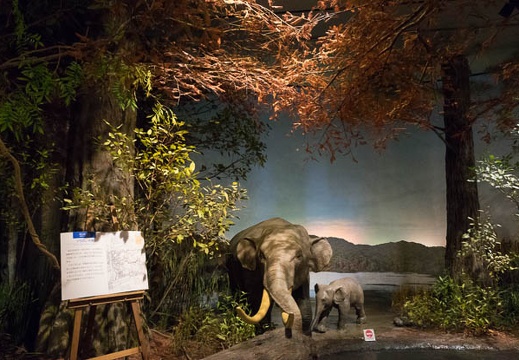 201501111424-DSC02963R10.jpg