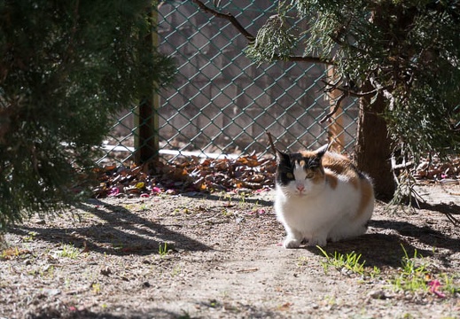 201501121249-DSC02984N6.jpg