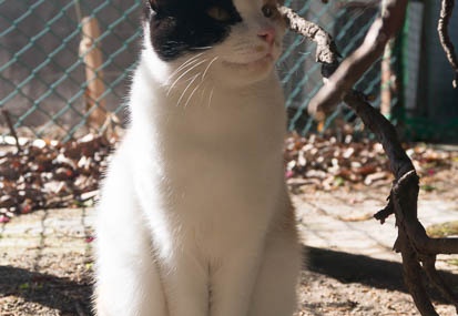 201501121251-DSC02996N6.jpg
