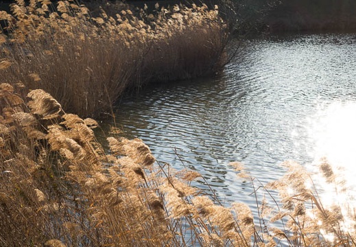 201501131554-DSC03431R10.jpg