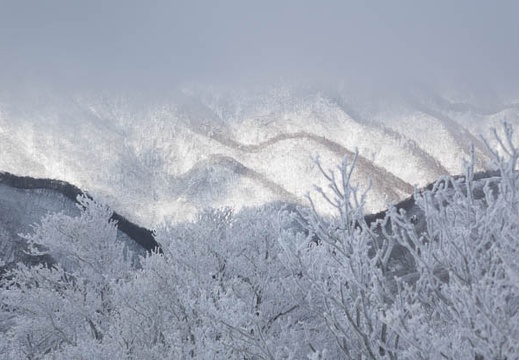 201501181023-DSC03549R10.jpg