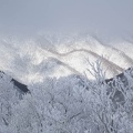 201501181023-DSC03549R10.jpg