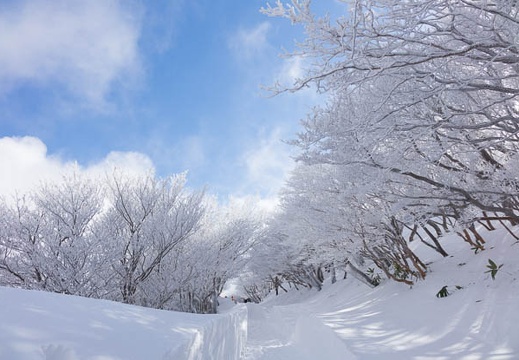 201501181025-DSC03562R10.jpg