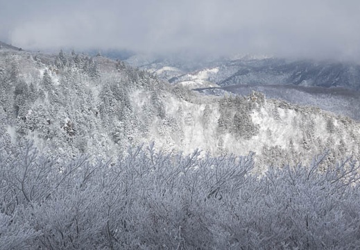 201501181042-DSC03627R10.jpg