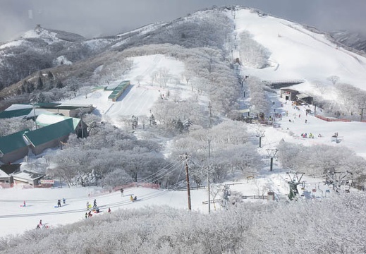201501181111-DSC03690R10.jpg