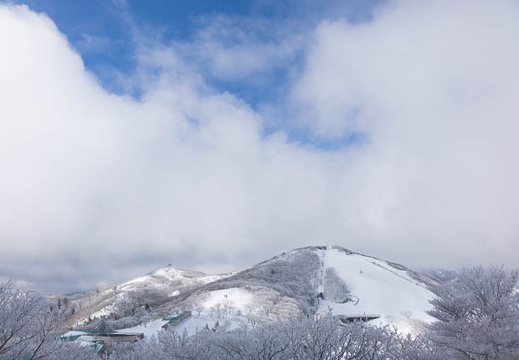 201501181134-DSC03706R10.jpg