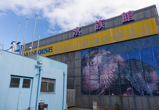 201501231323-DSC04465R10.jpg