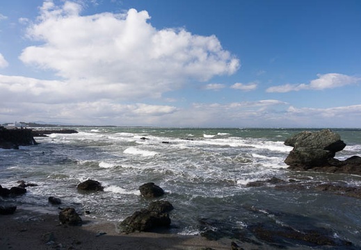 201501231339-DSC04519R10.jpg