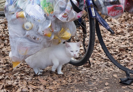 201501241349-DSC04856R10.jpg