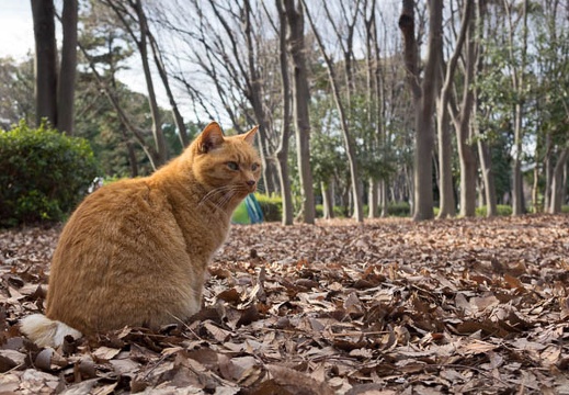 201501241350-DSC04860R10.jpg