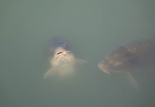 201501241402-DSC04880R10.jpg