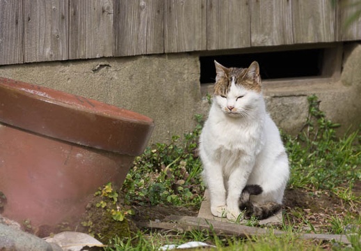 201501281232-DSC05638.jpg