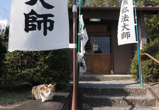 201501281340-DSC03182N6.jpg