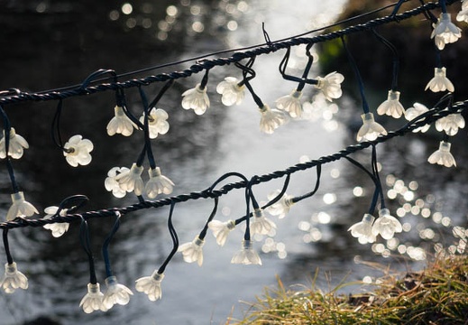 201501281609-DSC05356R10.jpg