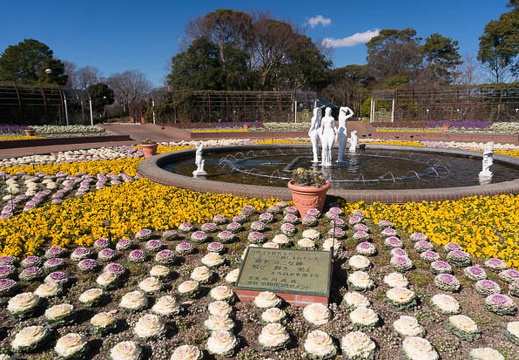 201502011245-DSC03253N6.jpg