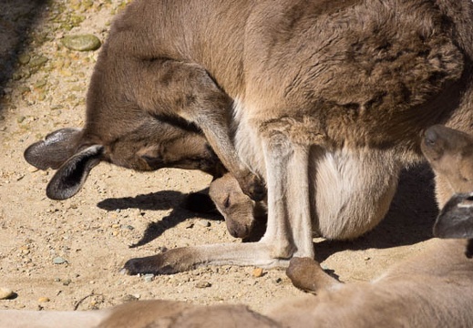 201502011319-DSC05838.jpg
