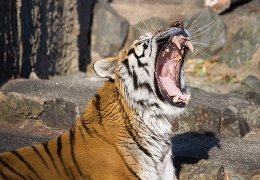 201502011448-DSC05986.jpg